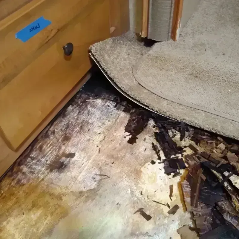 Wood Floor Water Damage in Brooklyn, NY